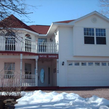 Dove House Bed & Breakfast Harbourside North Sydney Extérieur photo